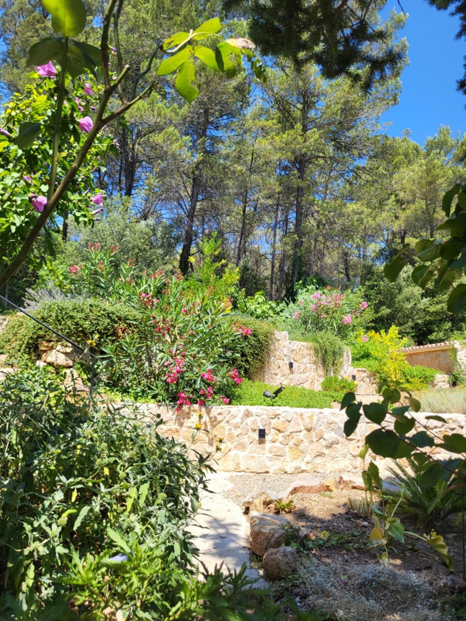 Location Dans Le
