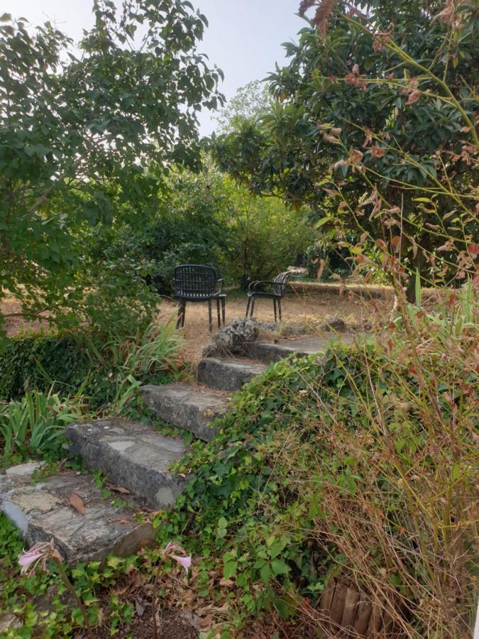 Location Dans Le * Le Thoronet